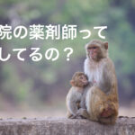 病院薬剤師って何してるの?