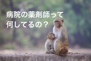 病院薬剤師って何してるの?