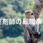 薬剤師の転職事情〜現場のホンネ〜