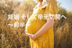 妊娠から陣痛 そして帝王切開へ 薬剤師目線で見た出産の記録 〜前半〜（〜妊娠26週）