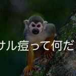 サル痘って何だ?〜これから現場で起こり得ること〜