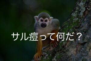 サル痘って何だ?〜これから現場で起こり得ること〜
