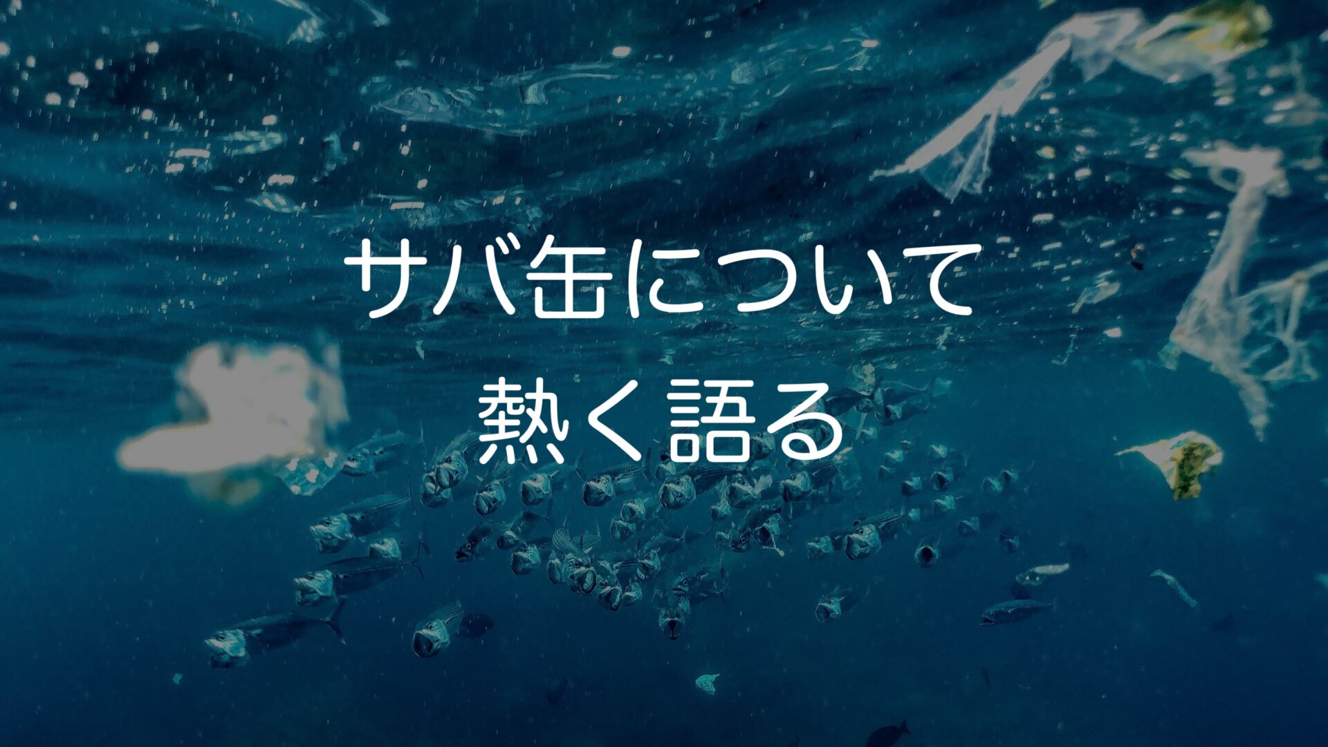 大好きなサバ缶について語ります